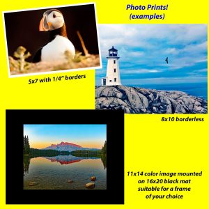 Order a Print From Gallery