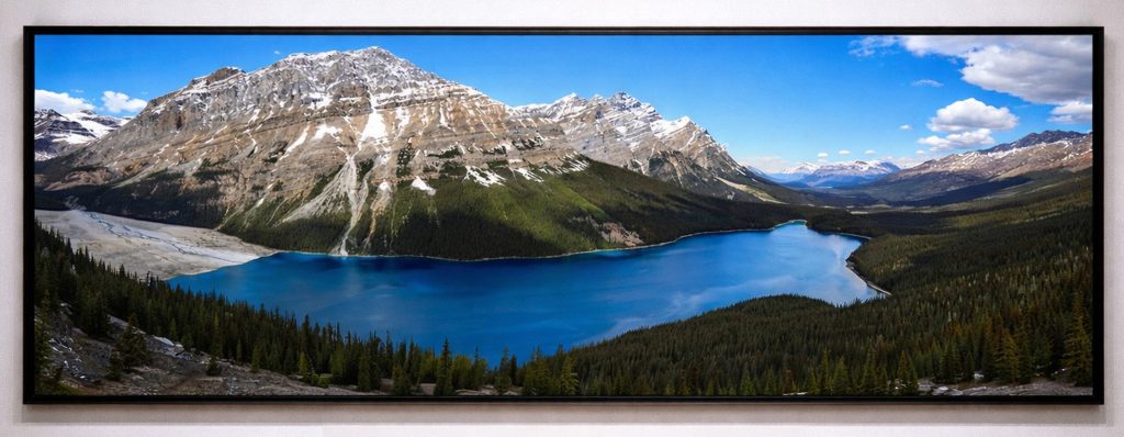 Peyto Lake Panorama
Banff National Park
June 21, 2024

I was struck by the brilliance of glacier-fed Peyto Lake, renowned for its vivid turquoise hue—created by fine glacial rock flour suspended in the water, scattering and refracting sunlight. Framed by the Waputik Range, the lake stretches 2.8 km from Peyto Glacier to its distinctive wolf-head outflow into the Mistaya River.

This panoramic print is composed of fourteen vertically captured images, seamlessly stitched to convey the full breadth of the scene.
