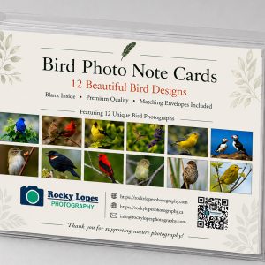 Bird photo note cards