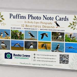 Puffin photo note cards collection box of 12