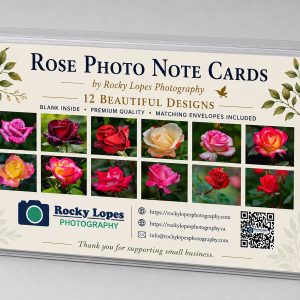 Rose photo note cards