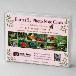 Butterfly Photo Note Cards Box of 12