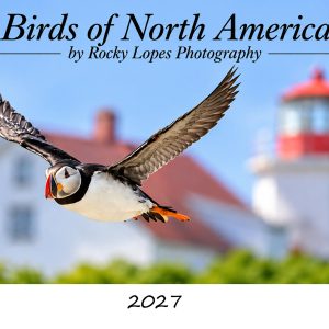 2027 Birds of North America Calendar