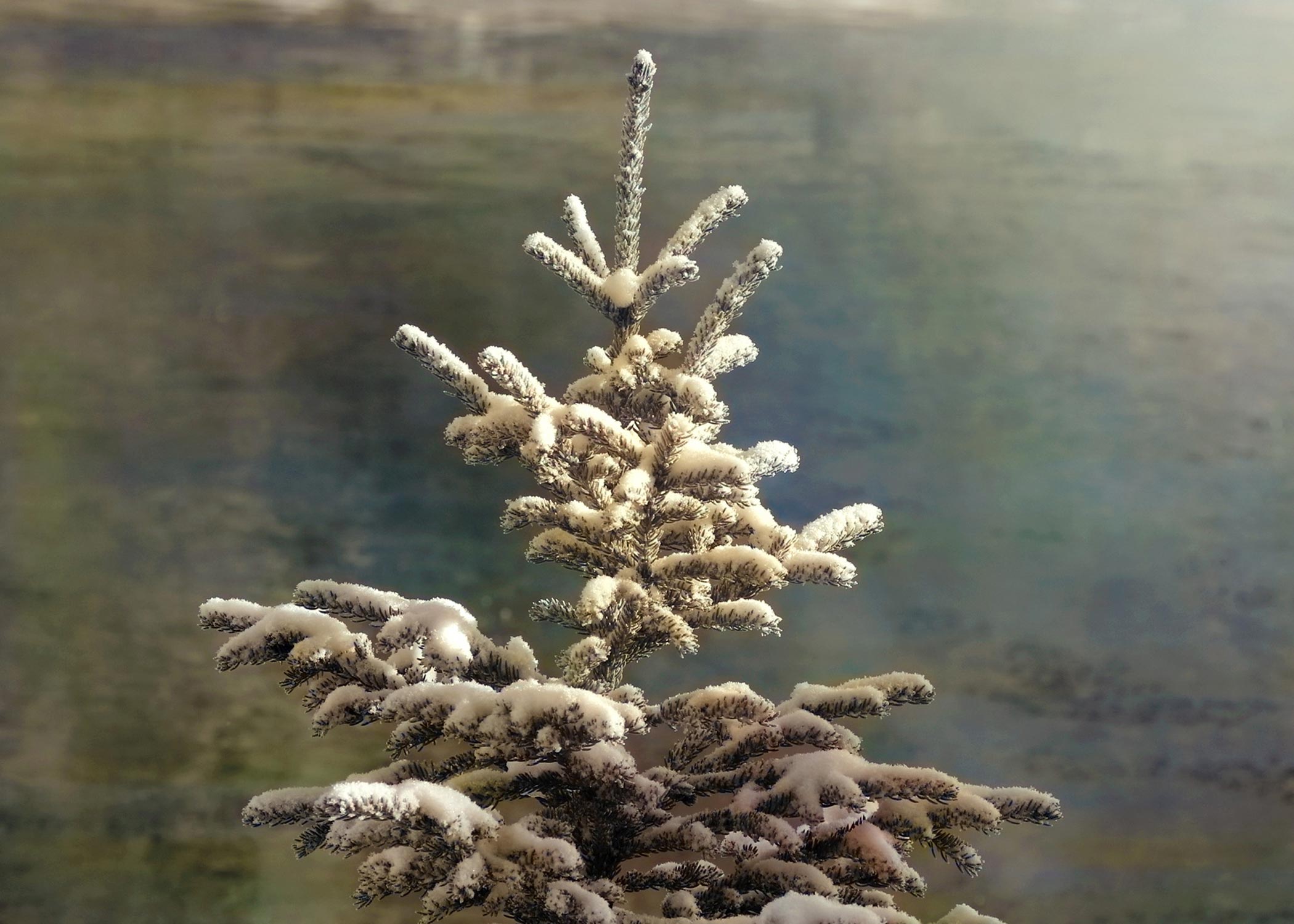 Holiday Photo Cards, Box of 8 - Image 6