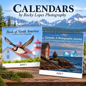 Calendars
